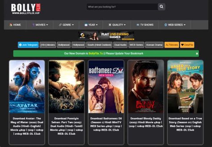 Bollyflix.com: Your Ultimate Destination for Bollywood Entertainment