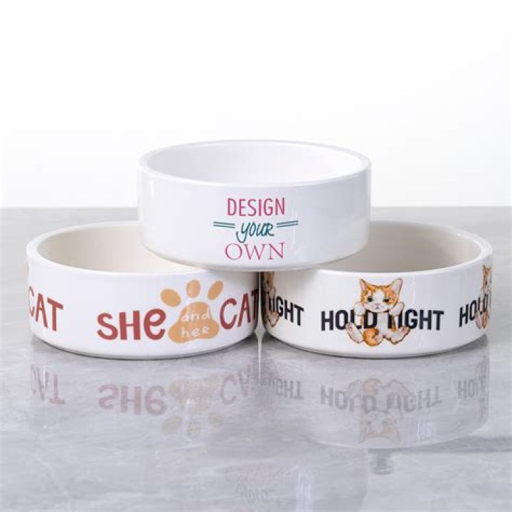 Color Me Mine Dog Bowl: A Complete Guide to Personalized Pet Bowls