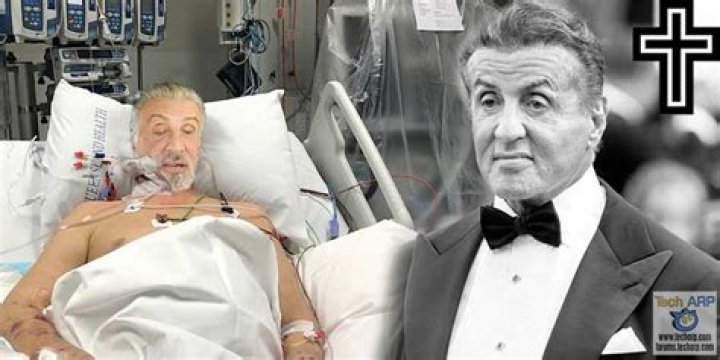 Did Sylvester Stallone Have a Stroke? Exploring the Truth Behind the Rumors