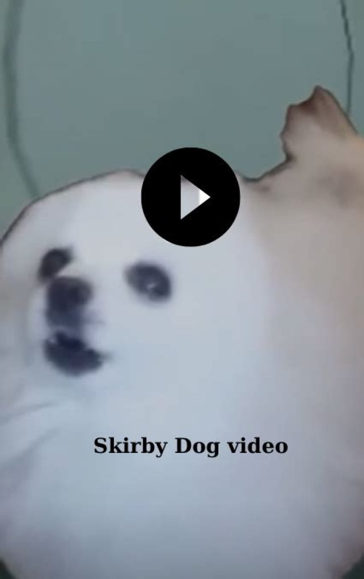 Discover the Magic of Skirby Dog Video: A Must-Watch Trend