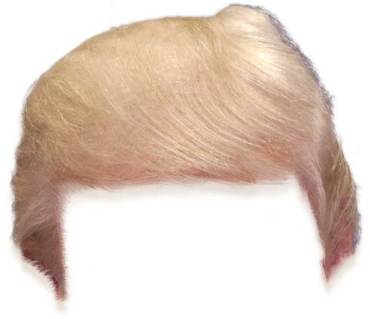 Exploring the Buzz Around Trump's New Haircut: A Fresh Perspective