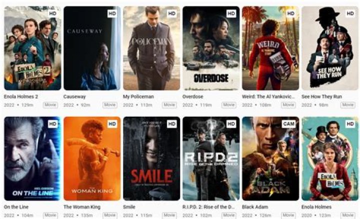 HDHub4U Site: Your Ultimate Guide to Streaming and Downloading High-Quality Movies