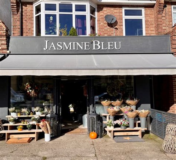 Jasmine Bleu Net Worth: 2023 Update &amp; Details
