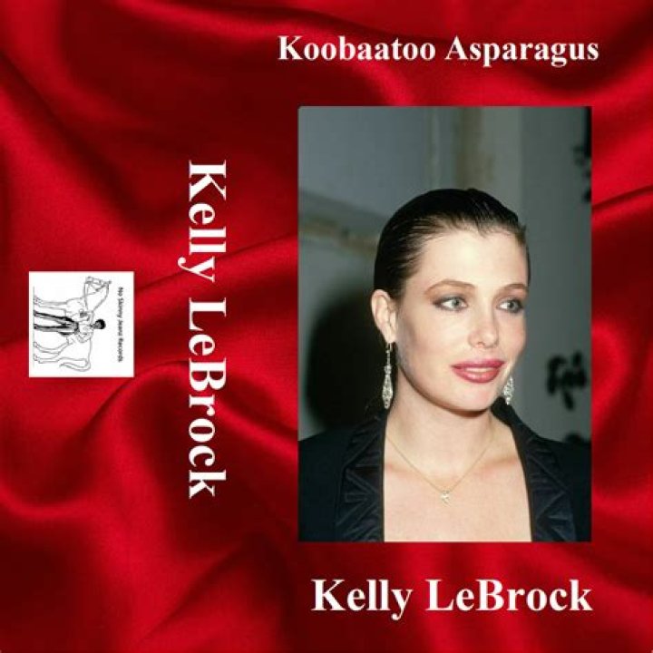 Kelly Lebrock: Inspiring Stories & Insights