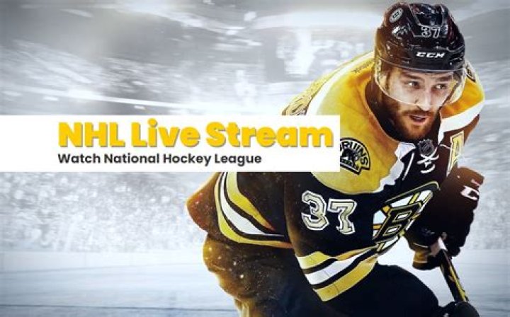 Live NHL Webcasts - Catch Every Game!