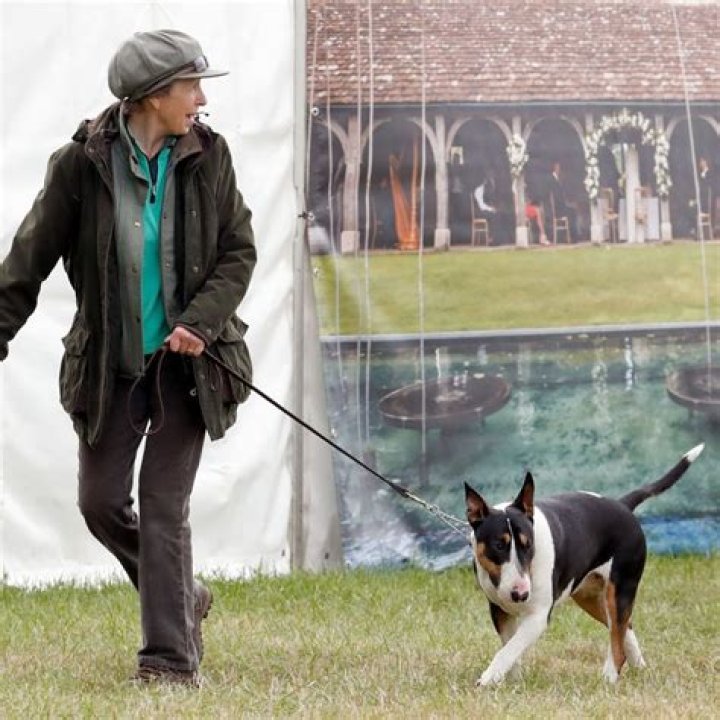 Meghan Markle's Dogs: A Royal Companion's Story