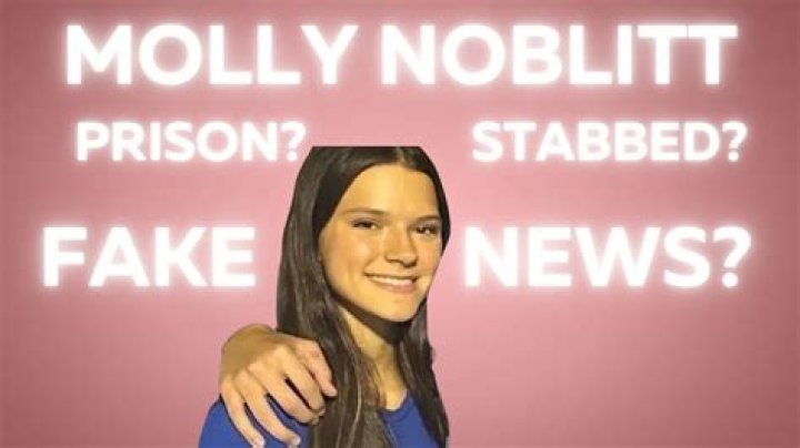 Molly Noblitt Court Case: A Deep Dive into One of the Most Controversial Legal Battles
