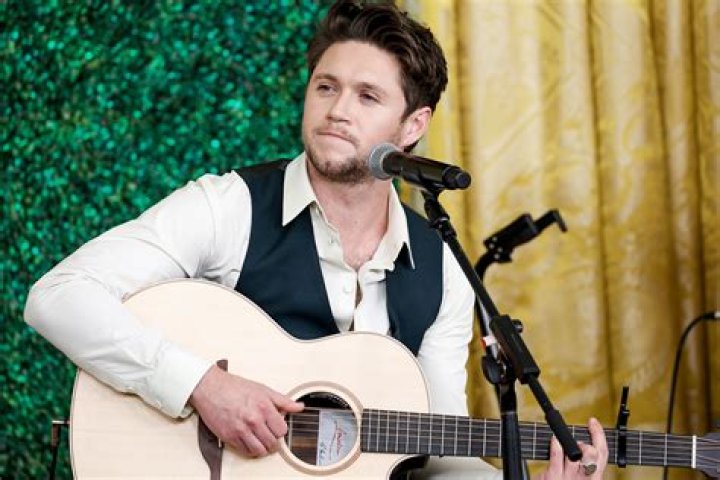 Niall Horan's Better Half: Who is the Mystery Behind the Music?