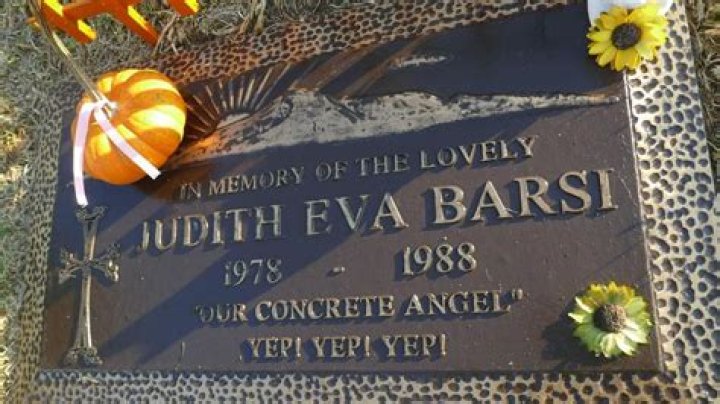Remembering Judith Barsi: A Star That Shone Brightly
