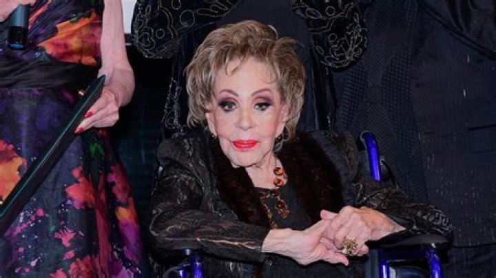 Silvia Pinal's Grandchildren: Meet the Next Generation