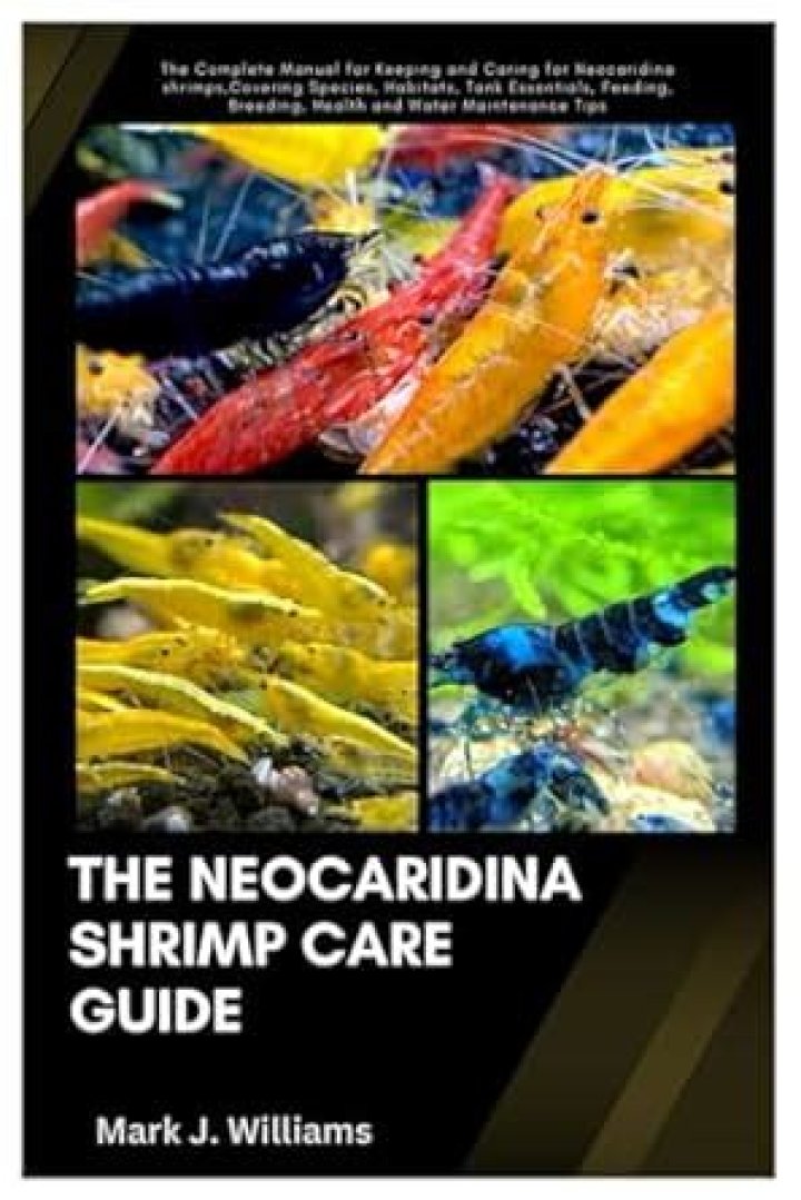 Sister Had a Baby Shrimp: A Comprehensive Guide to Raising and Caring for Baby Shrimp