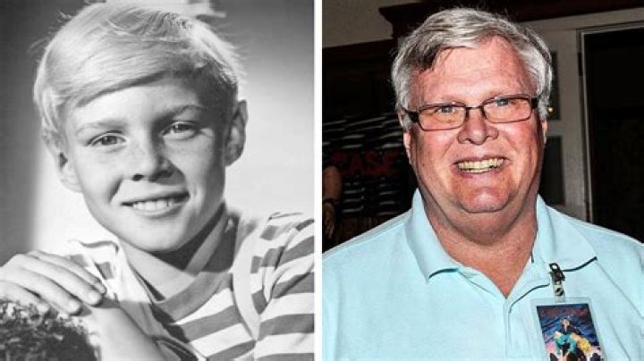 The Life and Legacy of Jay North: A Journey Through Childhood Stardom