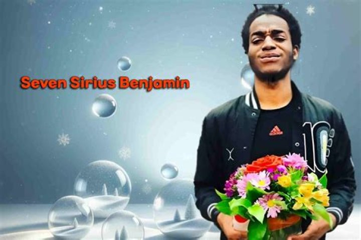 Unveiling the Extraordinary Journey of Seven Sirius Benjamin