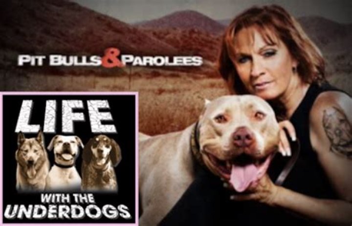 Unveiling the Life of Tia Torres: Pit Bulls and Parolees Husband