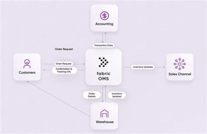 What is OMS Slang? A Comprehensive Guide to Understanding OMS and Its Usage