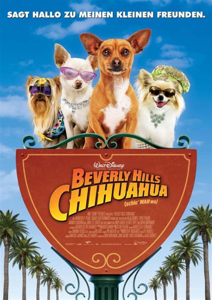 Will There Be a Beverly Hills Chihuahua 4? Discover the Latest Updates and Insights
